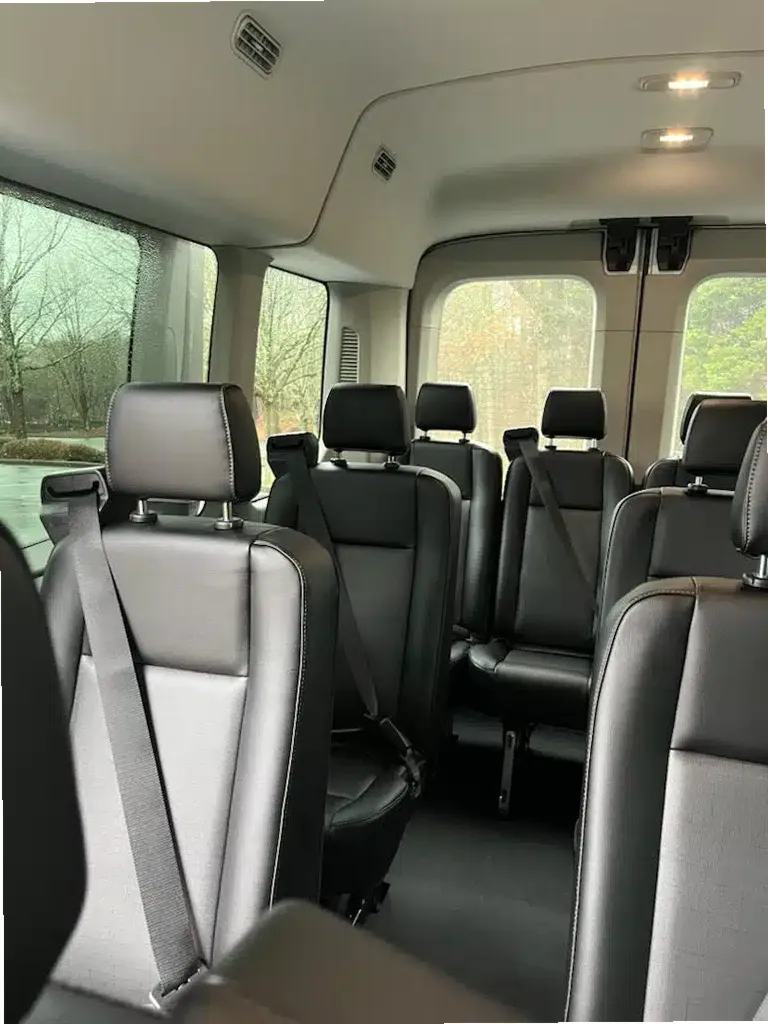 Samba Recovery — photo thumbnail 10