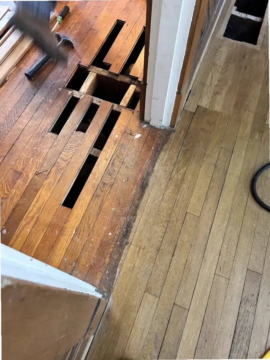 Spero Health — photo thumbnail 10