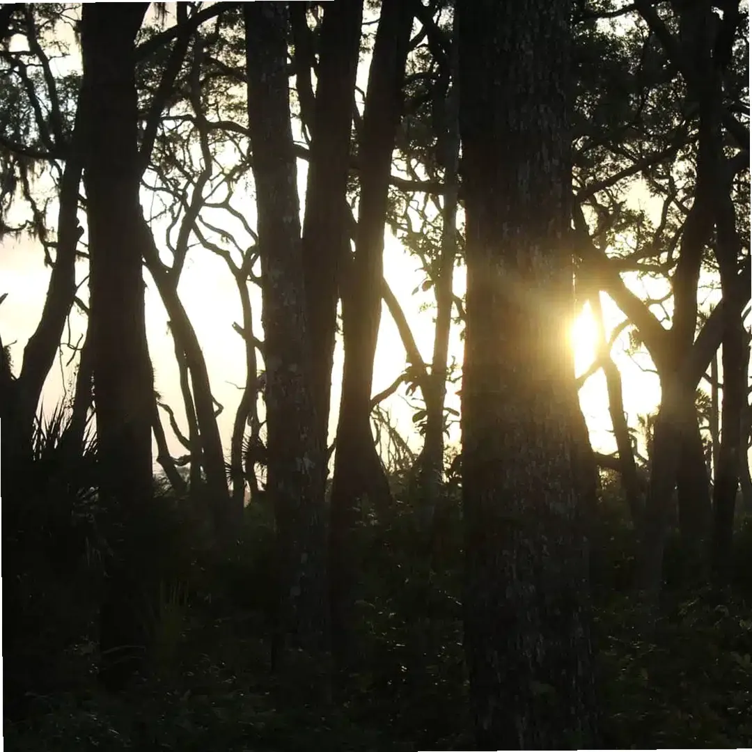 Starting Point Behavioral Healthcare — photo thumbnail 2