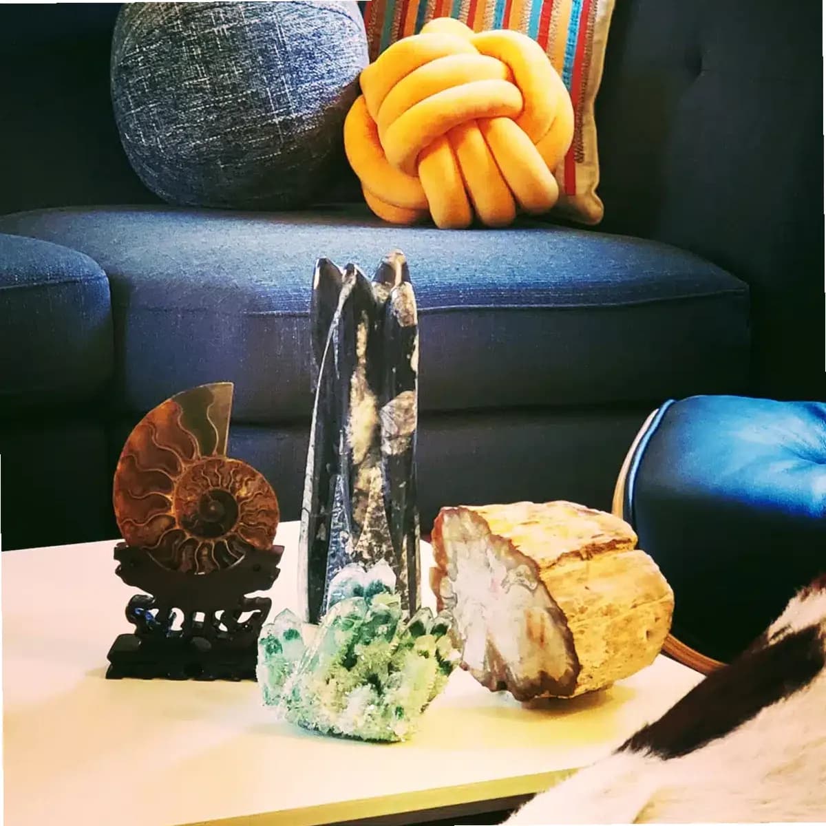 Taproot Therapy Collective — photo thumbnail 7