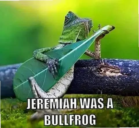 Thrive Addictions Services — photo thumbnail 6