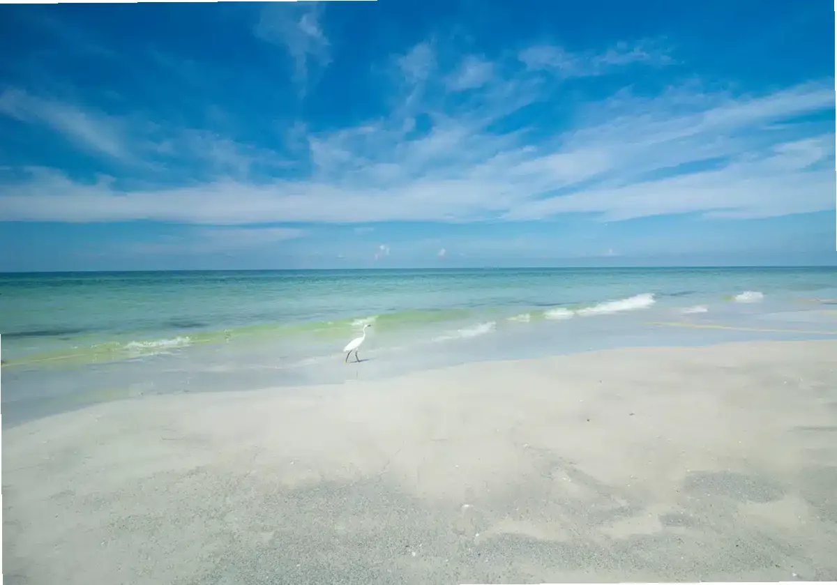 Tranquil Shores — photo thumbnail 8