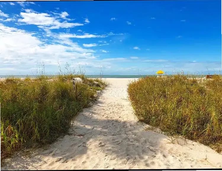 Transformations by the Gulf — photo thumbnail 7