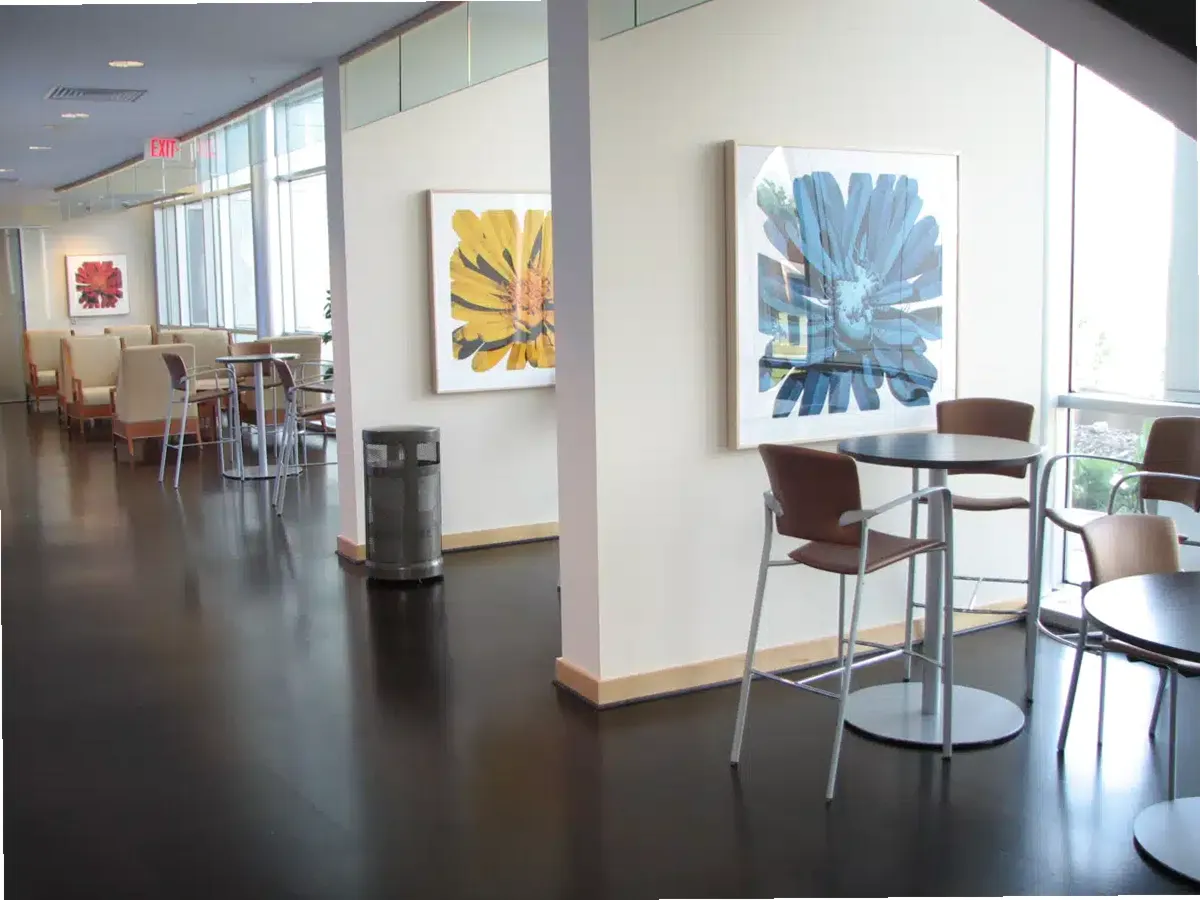 University of Arkansas for — photo thumbnail 3