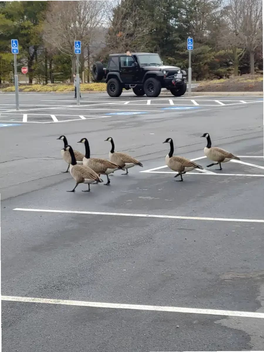 VAMED Health Group LLC — photo thumbnail 10