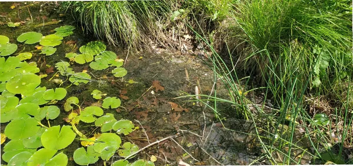 VAMED Health Group LLC — photo thumbnail 2