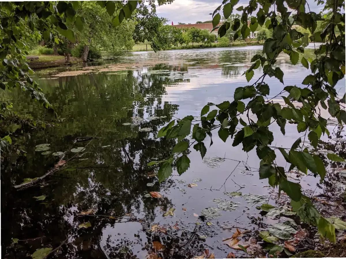 VAMED Health Group LLC — photo thumbnail 3