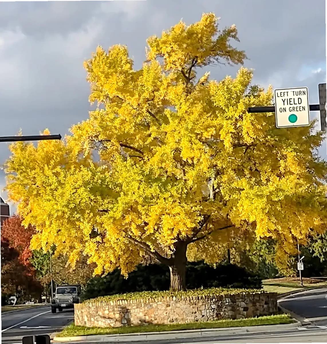 VAMED Health Group LLC — photo thumbnail 7