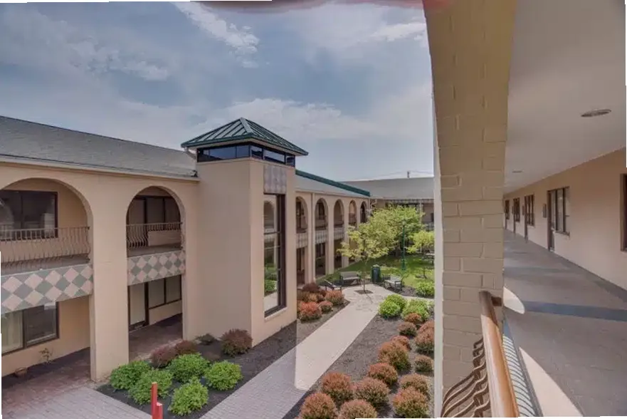 Wise Mind LLC — photo thumbnail 2