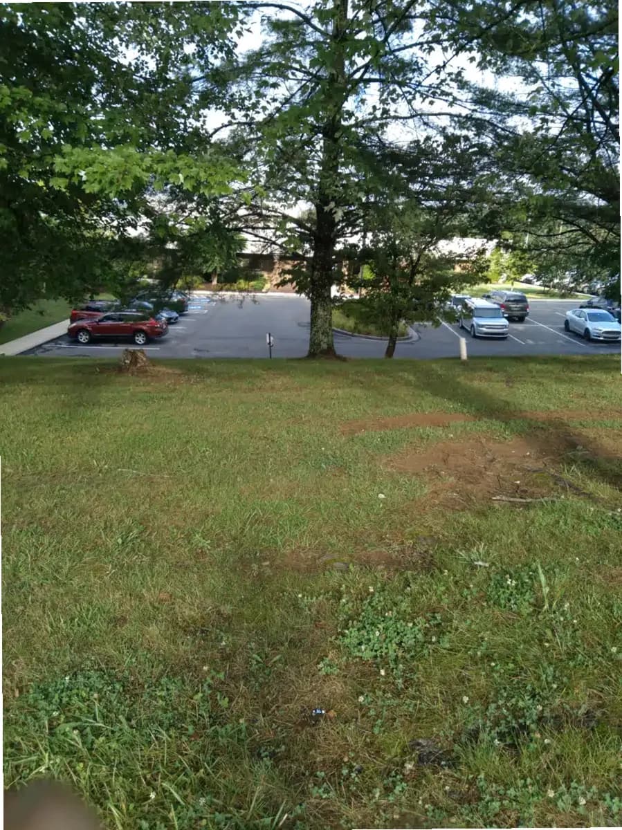 Woodridge Hospital — photo thumbnail 2