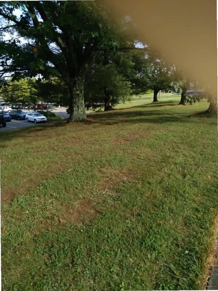 Woodridge Hospital — photo thumbnail 5