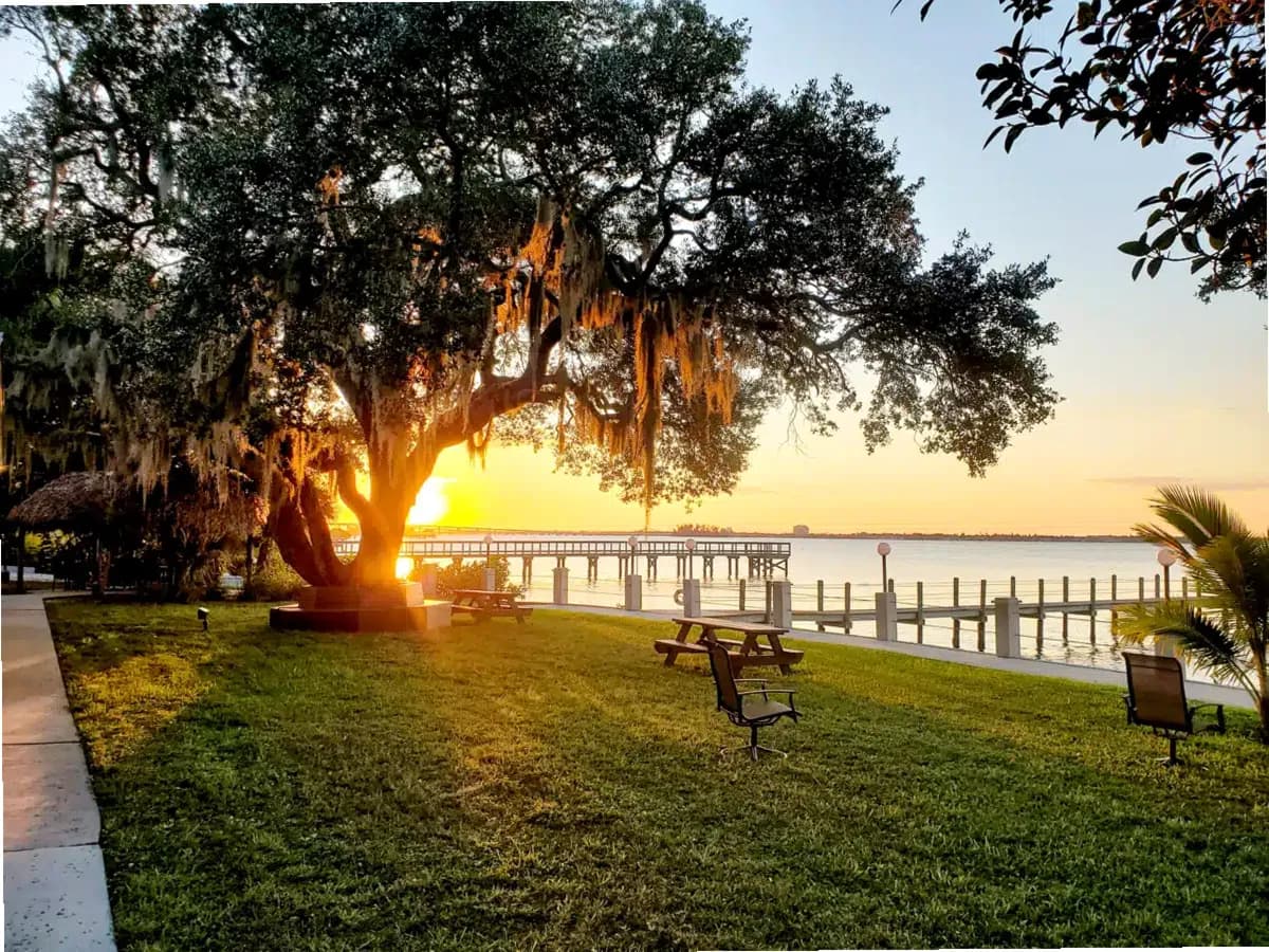 Celadon Recovery Center