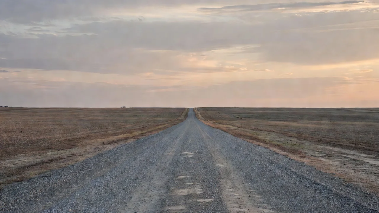 A gravel road running between flat Delta farmland under a wide evening sky